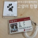 백산동물병원 | 한국고양이혈액센터 | 무료 건강검진&amp;고양이 헌혈 후기