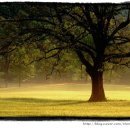 초목한의원 이미지