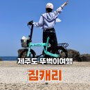 캐리 | 제주도 뚜벅이여행 짐배송해주는 짐캐리 이용후기