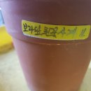 시랑초등학교 이미지