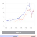 와이비스타 네이버블로그