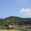 봉수목장 이미지