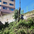 은행나무빌라 이미지