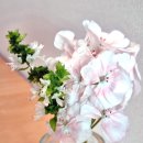 최상위수학 이미지