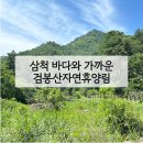 바다자연 | 검봉산자연휴양림 산목련 삼척숙소 후기 | 삼척 바다와 가까운 휴양림
