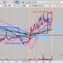 와이지바이오코리아 이미지