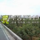 대지커피숍 이미지