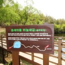 춤새마을