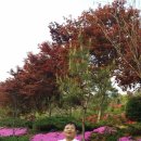 원광대체육관 앞 이미지