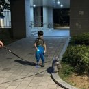 크록스제주점 | [내돈내산] 불빛 신발! 크록스 클래식 볼트 라이트 클로그 (C9) 두 달 실사용 후기