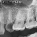 퍼스트민치과의원 이미지