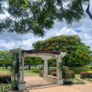 뉴팜 | 브리즈번 여행 뉴팜파크 New Farm Park 뉴팜 도서관 방문 후기