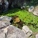 초옥동천 이미지