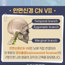 시지동의보감한의원 이미지