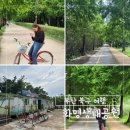 버들어린이공원 | 부산 북구 여행코스 추천 화명생태공원에서 즐기는 커플자전거