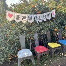 제주 서귀포 감귤 체험 킴스농장 귤창고 내돈내산