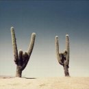 예스24스테이지 1관 이미지