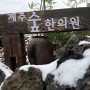 깊은숲한의원 이미지