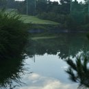 에콜리안영광골프장 이미지