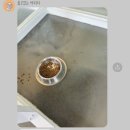 맛있댕 이미지