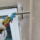 제니스타운 이미지