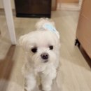 대심냉동 이미지