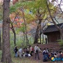 금관2리 이미지