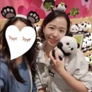 [용인] 23.10.17 에버랜드 평일 오픈런 후기, 샤브샤브 맛집 &#39;삼청동샤브 ak&amp;기흥점&#39;