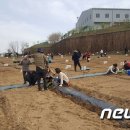 박종명 농장 이미지