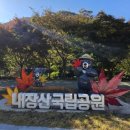 내장산라온스테이 네이버블로그