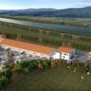 신 황룡 이미지