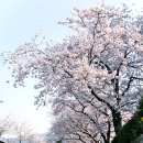 여좌천 이미지