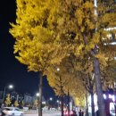 방과후분식 - 음성군 시장로115번길 5 | 방과후분식