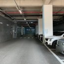 안양셀프사진관 정원셀프사진관 안양범계점에서 천일사진, 만삭사진 촬영 대만족 후기
