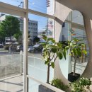 좋아서하는 동물병원 이미지