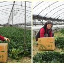 재학농장 이미지