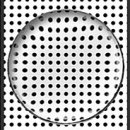 렌즈인걸 주식회사 이미지
