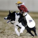 카우보이 이미지