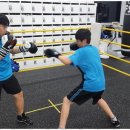 홍 복싱클럽 이미지