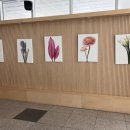 곰달래문화복지센터 이미지