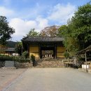 무위사 주차장 이미지