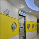 하얀미소치과의원 | 잇몸부터 교정까지 흐름 이해하기 신경치료 치아관리