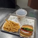 강남역맛집 쉐이크쉑 강남스퀘어점 쉬림프쉑 후기