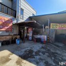 참살이콩이야기 이미지