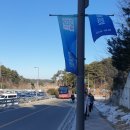 강릉스피드스케이팅경기장 | 2024 강릉 청소년동계올림픽 스피드스케이팅 경기 직관 후기(반입금지 물품 및 주차)