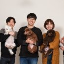 도그비앤비 이미지
