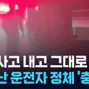 [국내이슈] 불체자한테 로드킬 이미지