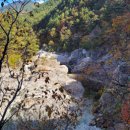 왕피천힐링팜 이미지