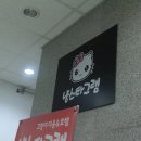 부산고양이미용&호텔 냥스타그램 이미지