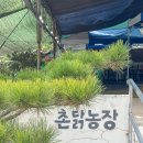 곡강농장 이미지